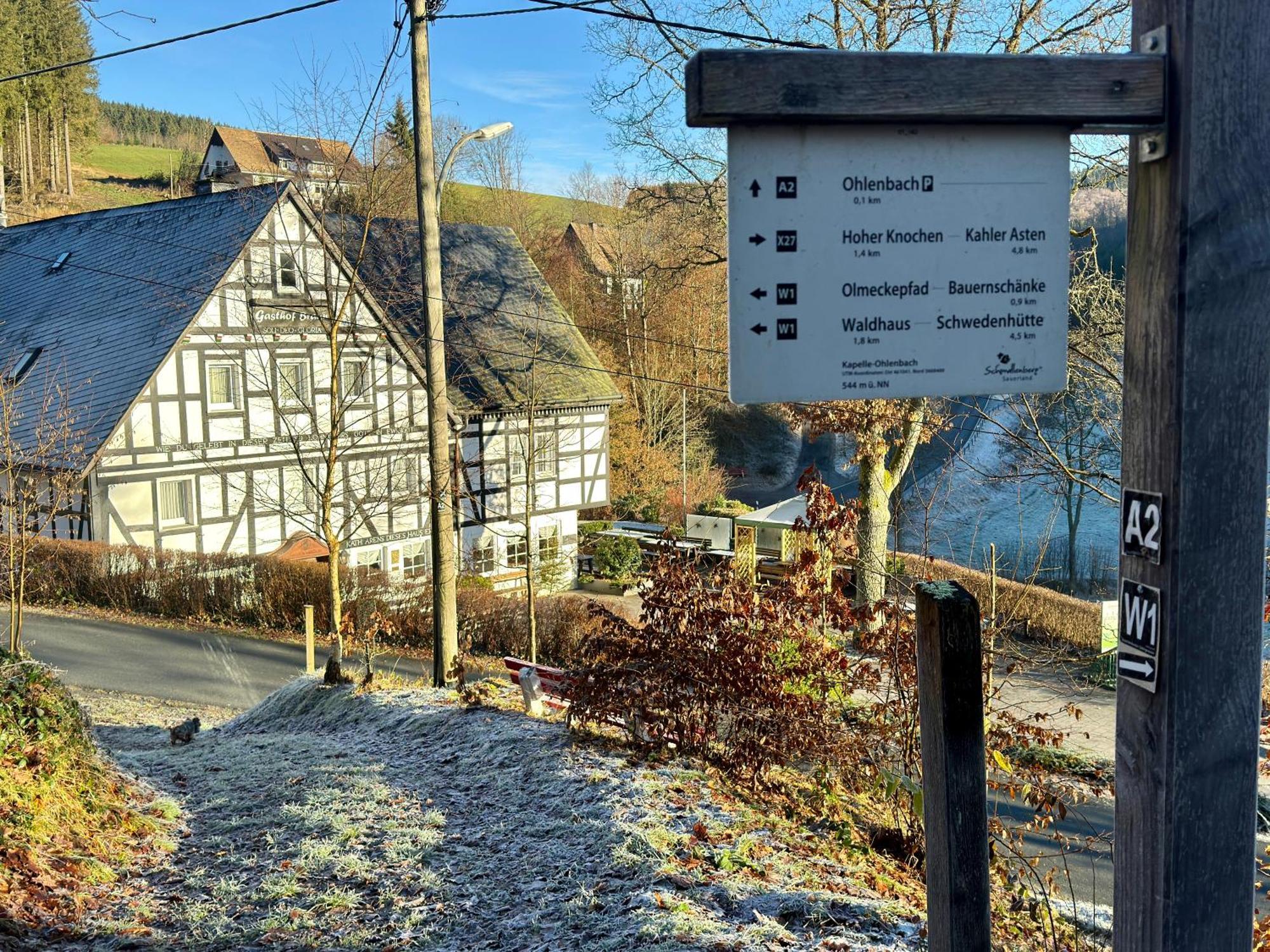 Braun Schmallenberg